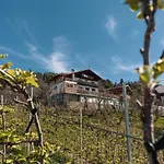 Malgorerhof Lavendel
