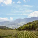 Malgorerhof Lavendel Jenesien