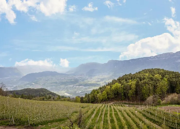 Malgorerhof Lavendel 산 제네시오 아테시노