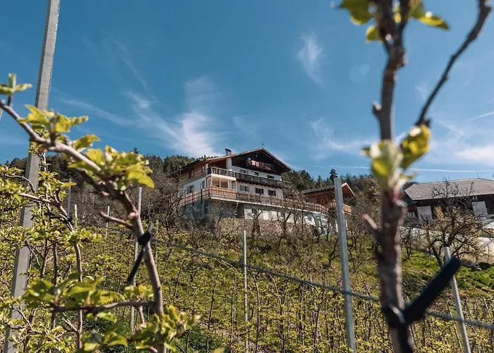 Malgorerhof Lavendel